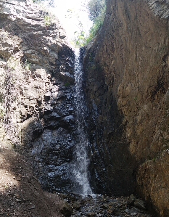 Bailey Canyon Falls flowing nicely