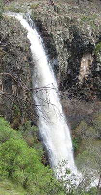 Norfolk Falls, Coolah Tops