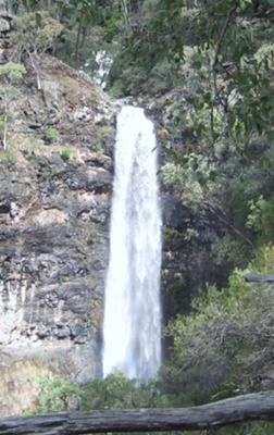Rocky Creek Falls, Coolah Tops NP