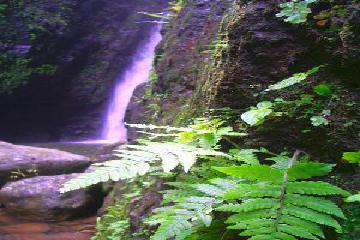 sacred falls oahu
