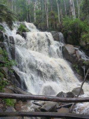 Toorongo Falls