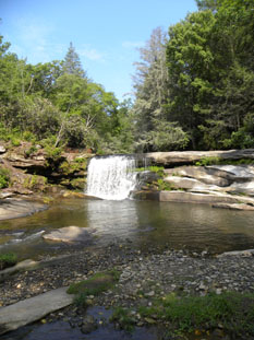 French Broad Falls